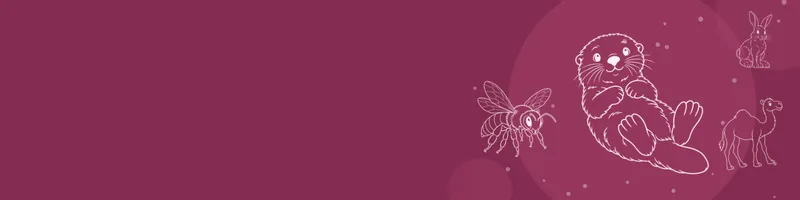 Berry Google Classroom header with white line drawings of sea otter, snowshoe hare, camel, bee on the right