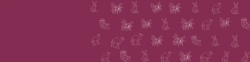 Berry Google Classroom header with white line drawings of sea otter, snowshoe hare, camel, bee on the right