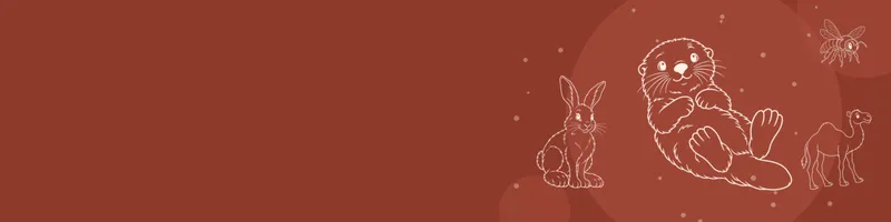 Brick red Google Classroom header with white line drawings of sea otter, snowshoe hare, camel, bee on the right