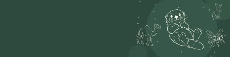 Forest green Google Classroom header with white line drawings of sea otter, snowshoe hare, camel, bee on the right
