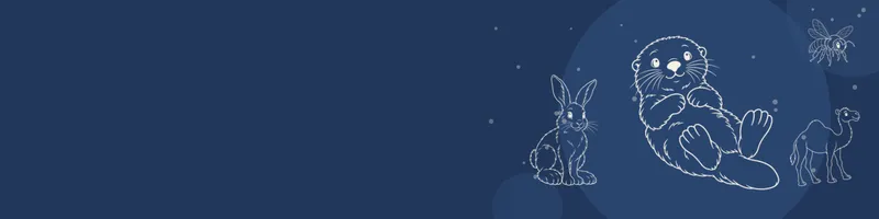Navy Google Classroom header with white line drawings of sea otter, snowshoe hare, camel, bee on the right