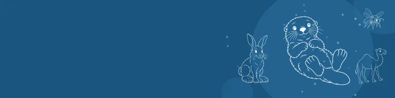 Ocean blue Google Classroom header with white line drawings of sea otter, snowshoe hare, camel, bee on the right