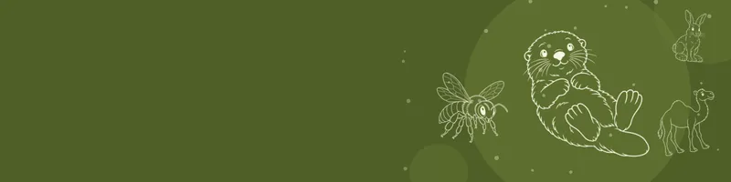 Olive Google Classroom header with white line drawings of sea otter, snowshoe hare, camel, bee on the right