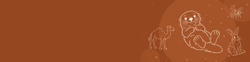 Rust Google Classroom header with white line drawings of sea otter, snowshoe hare, camel, bee on the right