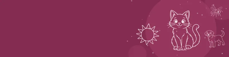 Berry Google Classroom header with white line drawings of cat, sun, dog, bee on the right