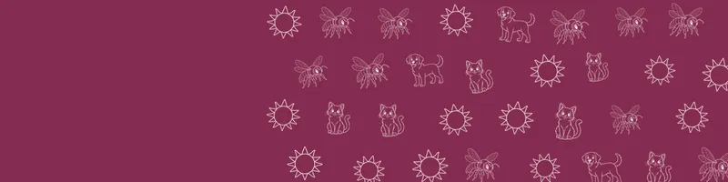 Berry Google Classroom header with white line drawings of cat, sun, dog, bee on the right