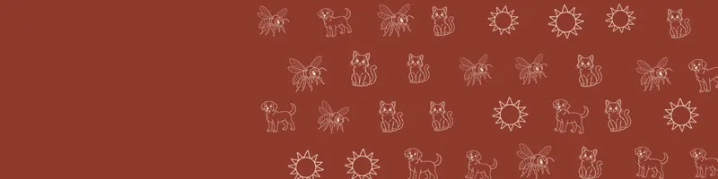 Brick red Google Classroom header with white line drawings of cat, sun, dog, bee on the right