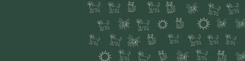 Forest green Google Classroom header with white line drawings of cat, sun, dog, bee on the right