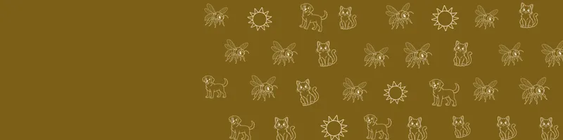 Ochre Google Classroom header with white line drawings of cat, sun, dog, bee on the right