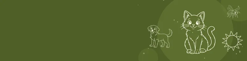 Olive Google Classroom header with white line drawings of cat, sun, dog, bee on the right