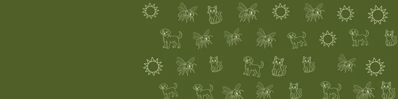 Olive Google Classroom header with white line drawings of cat, sun, dog, bee on the right
