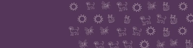 Plum Google Classroom header with white line drawings of cat, sun, dog, bee on the right
