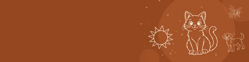 Rust Google Classroom header with white line drawings of cat, sun, dog, bee on the right
