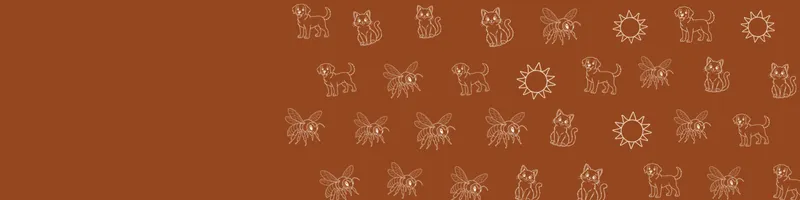 Rust Google Classroom header with white line drawings of cat, sun, dog, bee on the right