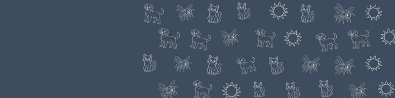 Slate Google Classroom header with white line drawings of cat, sun, dog, bee on the right
