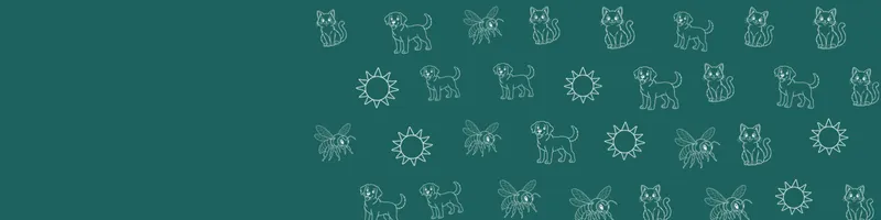 Teal Google Classroom header with white line drawings of cat, sun, dog, bee on the right
