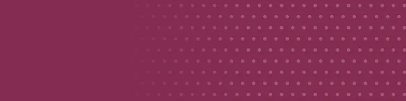 Berry Google Classroom header with a polka dots pattern on the right