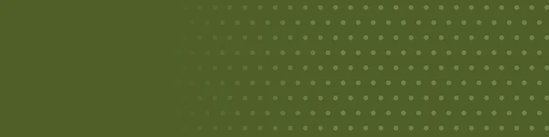 Olive Google Classroom header with a polka dots pattern on the right