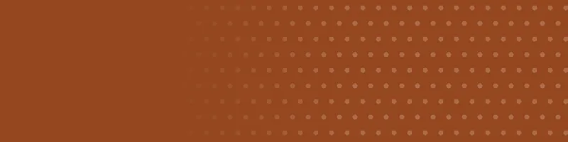 Rust Google Classroom header with a polka dots pattern on the right