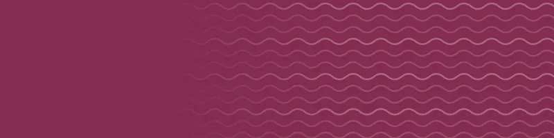 Berry Google Classroom header with a waves pattern on the right