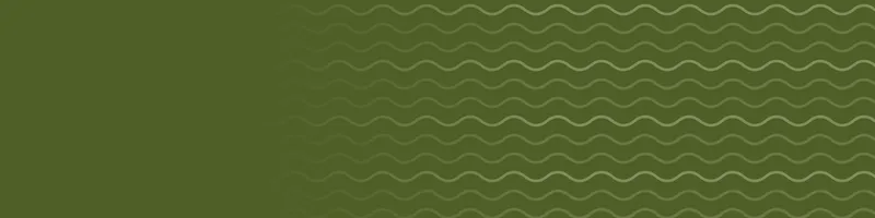 Olive Google Classroom header with a waves pattern on the right