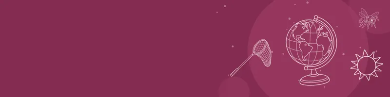 Berry Google Classroom header with white line drawings of globe, bee, net, sun on the right