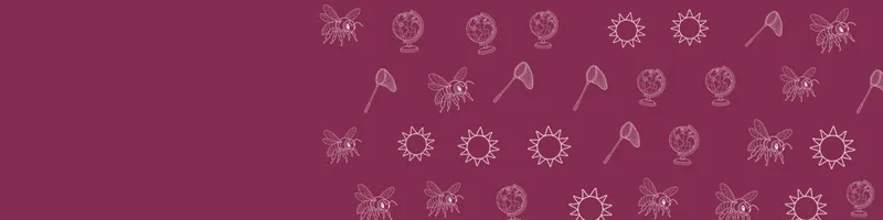 Berry Google Classroom header with white line drawings of globe, bee, net, sun on the right
