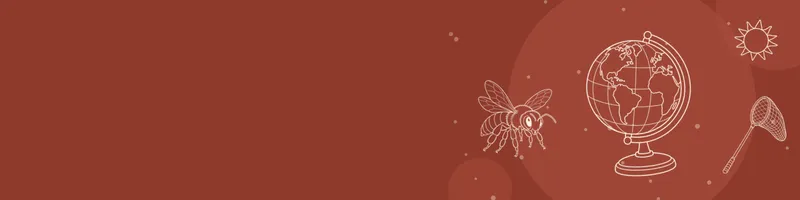 Brick red Google Classroom header with white line drawings of globe, bee, net, sun on the right