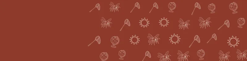Brick red Google Classroom header with white line drawings of globe, bee, net, sun on the right