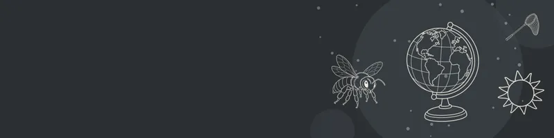 Charcoal Google Classroom header with white line drawings of globe, bee, net, sun on the right