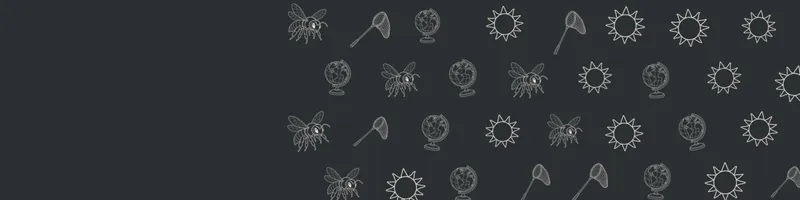 Charcoal Google Classroom header with white line drawings of globe, bee, net, sun on the right