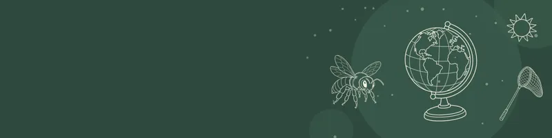 Forest green Google Classroom header with white line drawings of globe, bee, net, sun on the right