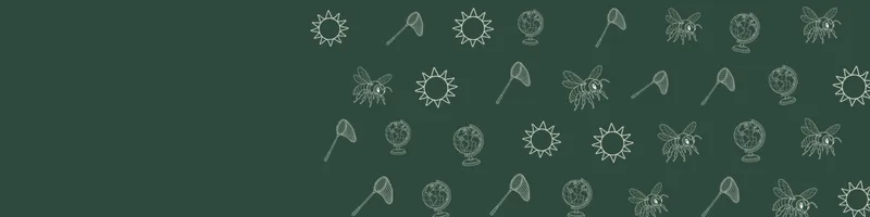 Forest green Google Classroom header with white line drawings of globe, bee, net, sun on the right