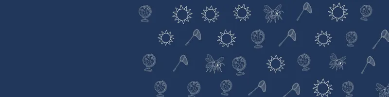 Navy Google Classroom header with white line drawings of globe, bee, net, sun on the right