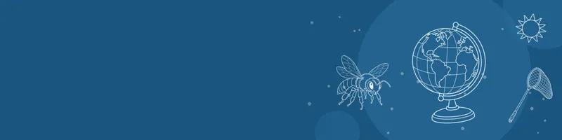 Ocean blue Google Classroom header with white line drawings of globe, bee, net, sun on the right