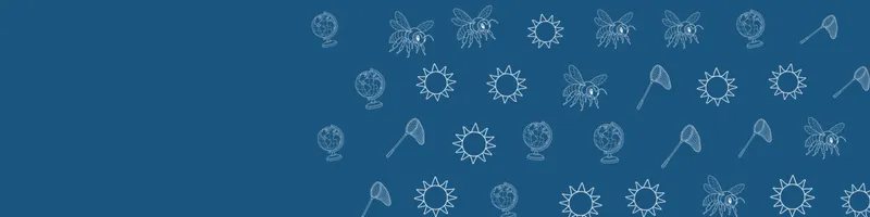 Ocean blue Google Classroom header with white line drawings of globe, bee, net, sun on the right