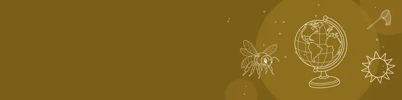 Ochre Google Classroom header with white line drawings of globe, bee, net, sun on the right