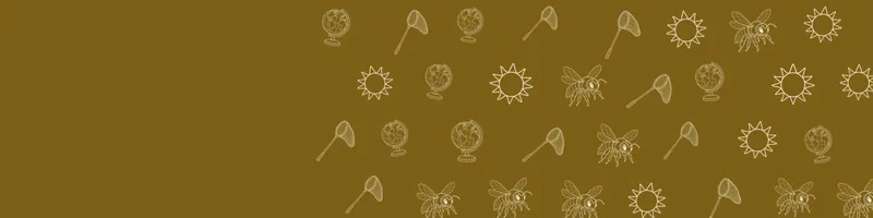 Ochre Google Classroom header with white line drawings of globe, bee, net, sun on the right