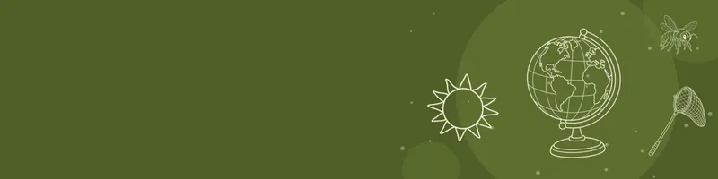 Olive Google Classroom header with white line drawings of globe, bee, net, sun on the right