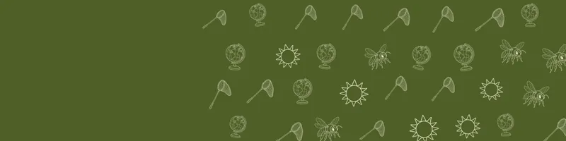 Olive Google Classroom header with white line drawings of globe, bee, net, sun on the right