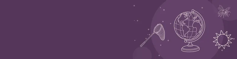 Plum Google Classroom header with white line drawings of globe, bee, net, sun on the right
