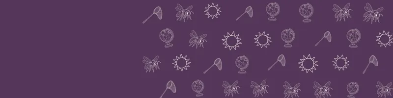 Plum Google Classroom header with white line drawings of globe, bee, net, sun on the right