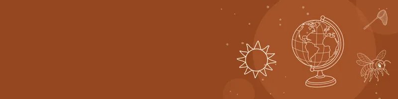 Rust Google Classroom header with white line drawings of globe, bee, net, sun on the right