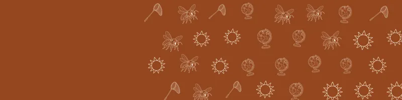 Rust Google Classroom header with white line drawings of globe, bee, net, sun on the right