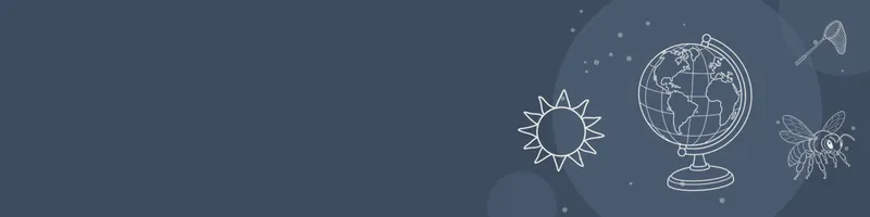 Slate Google Classroom header with white line drawings of globe, bee, net, sun on the right