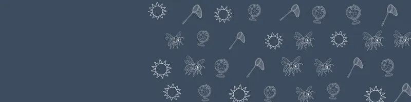 Slate Google Classroom header with white line drawings of globe, bee, net, sun on the right