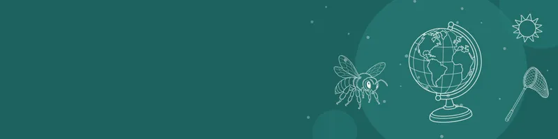 Teal Google Classroom header with white line drawings of globe, bee, net, sun on the right