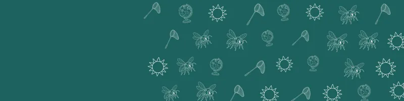 Teal Google Classroom header with white line drawings of globe, bee, net, sun on the right